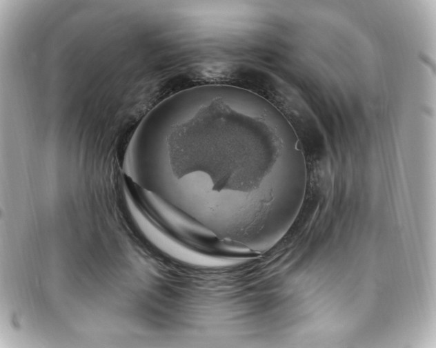 X0000096470651200801241430