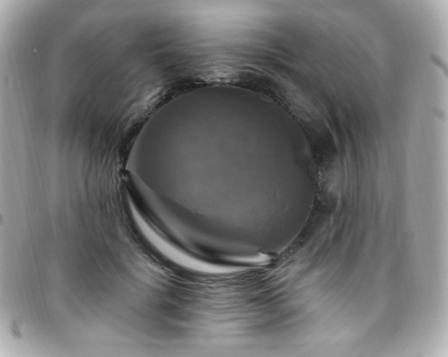 X0000096470652200801241430