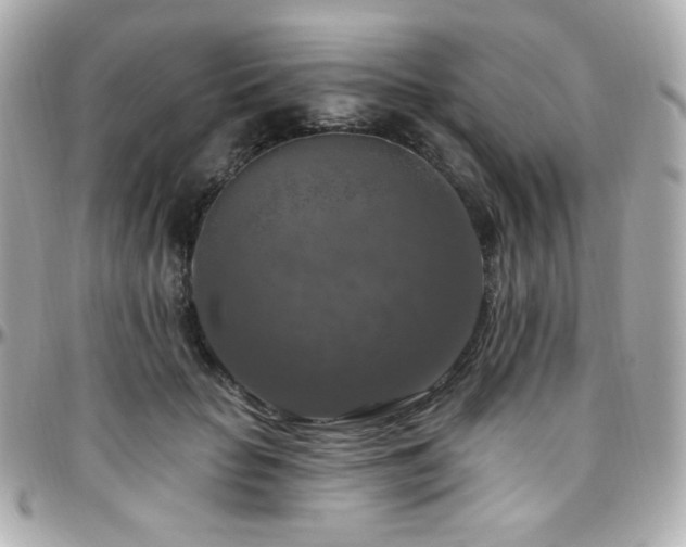 X0000096470653200801241430