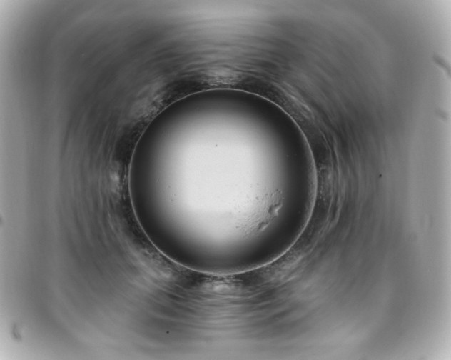 X0000096470655200801241430