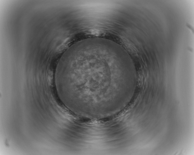 X0000096470656200801241430