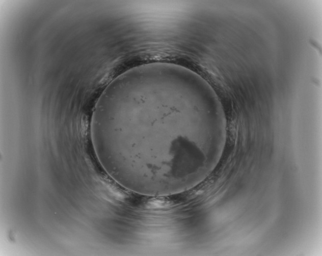 X0000096470657200801241430