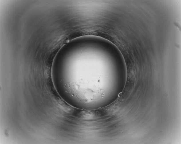 X0000096470658200801241430