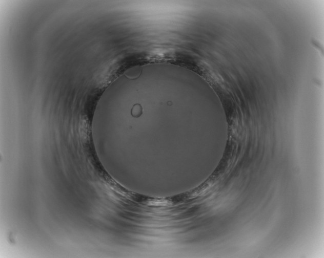 X0000096470659200801241430