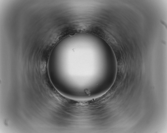 X0000096470660200801241430