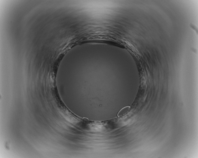 X0000096470661200801241430