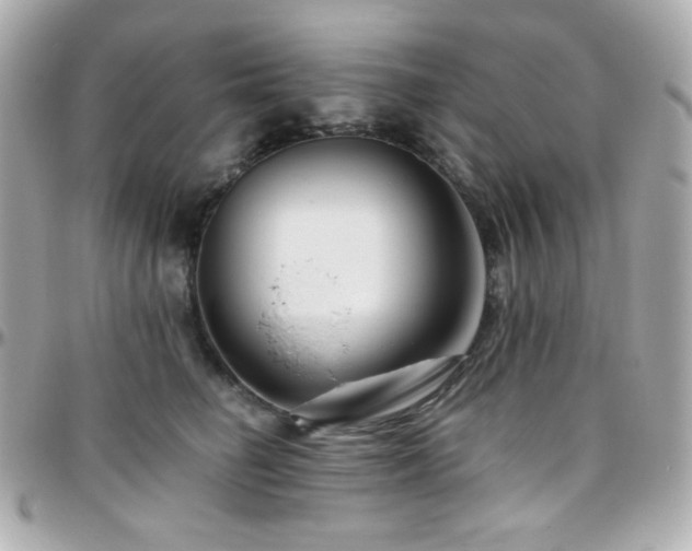 X0000096470662200801241430