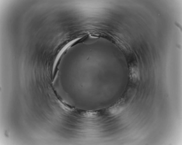 X0000096470664200801241430