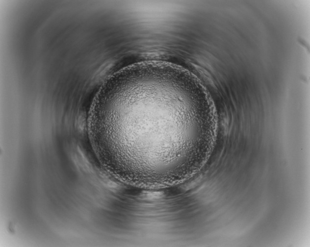 X0000096470665200801241430