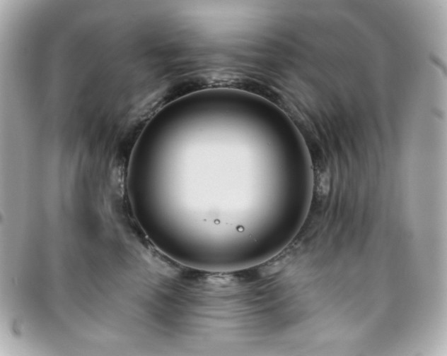 X0000096470666200801241430