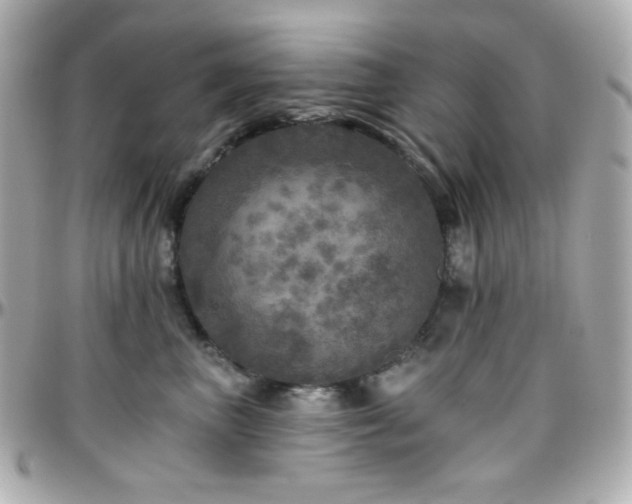 X0000096470667200801241430