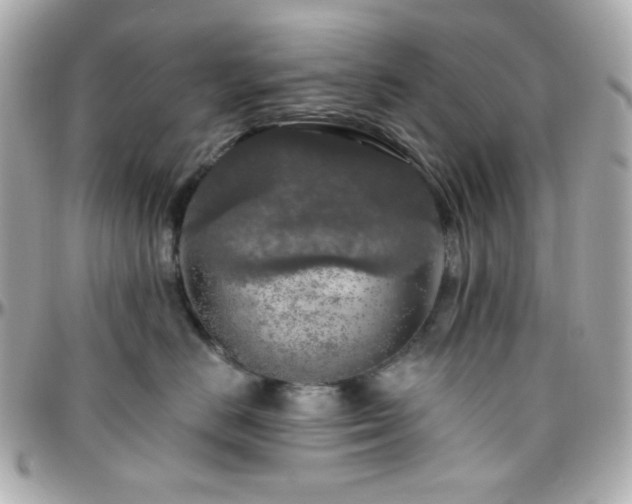 X0000096470670200801241430