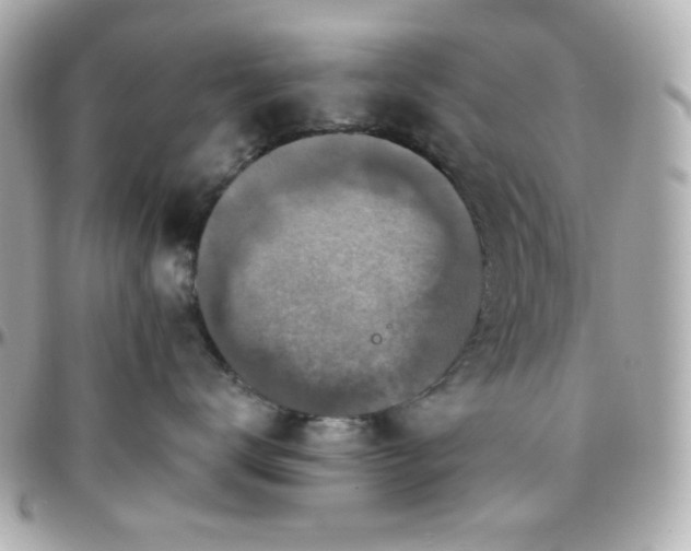 X0000096470672200801241430