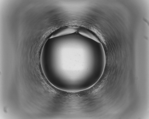 X0000096470673200801241429