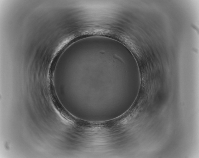 X0000096470674200801241429