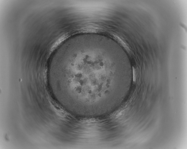 X0000096470675200801241429