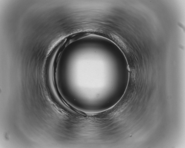 X0000096470676200801241429