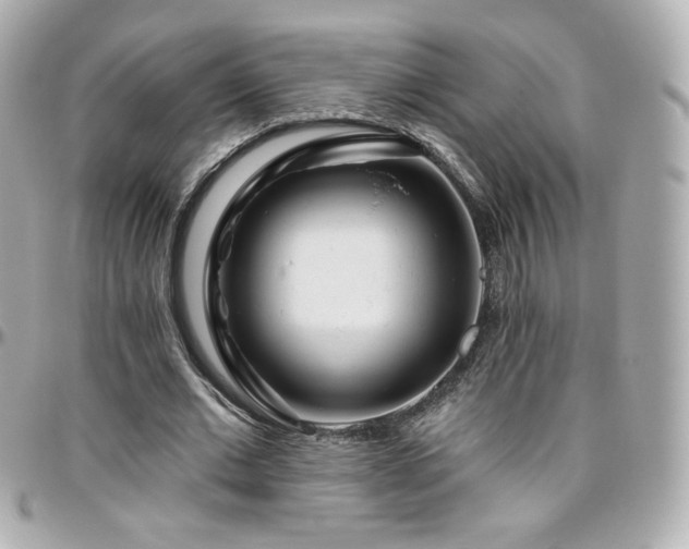 X0000096470677200801241429