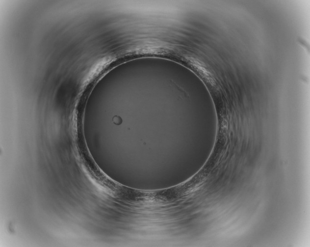 X0000096470678200801241429