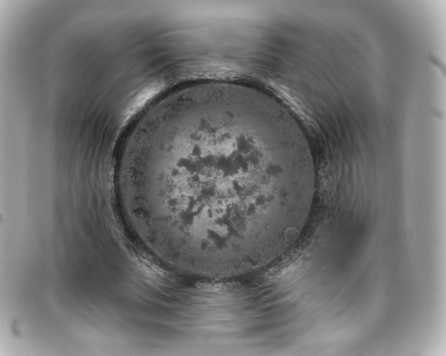 X0000096470679200801241429