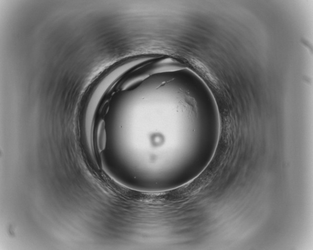 X0000096470680200801241429