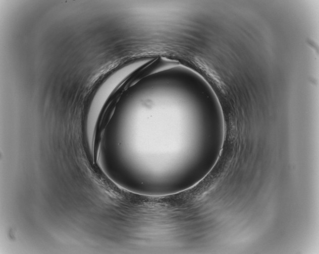 X0000096470681200801241429