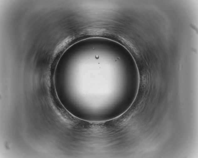 X0000096470682200801241429