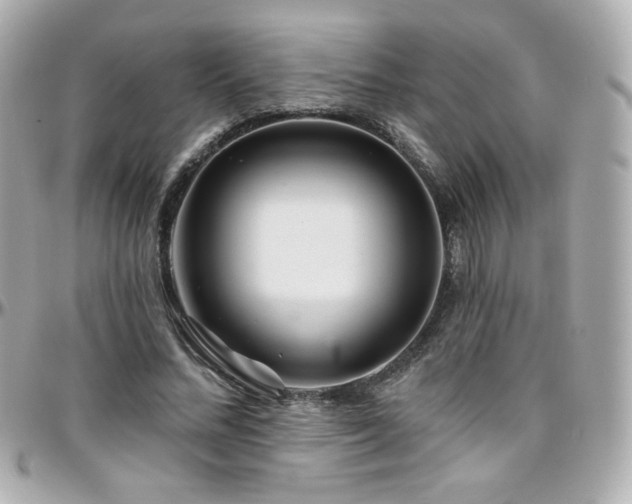 X0000096470684200801241429