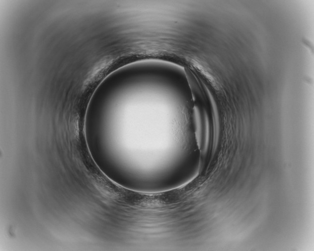 X0000096470685200801241429