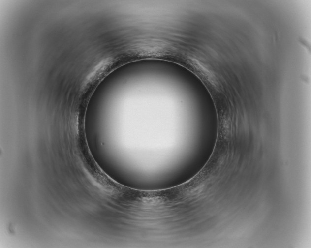 X0000096470686200801241429