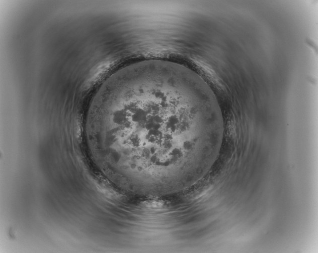 X0000096470687200801241429