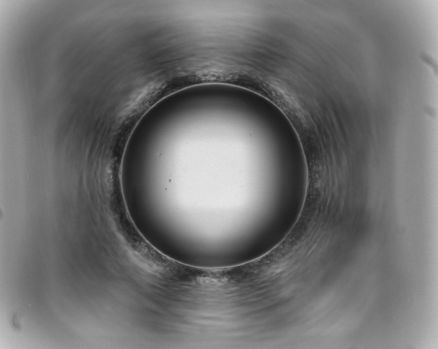 X0000096470690200801241429