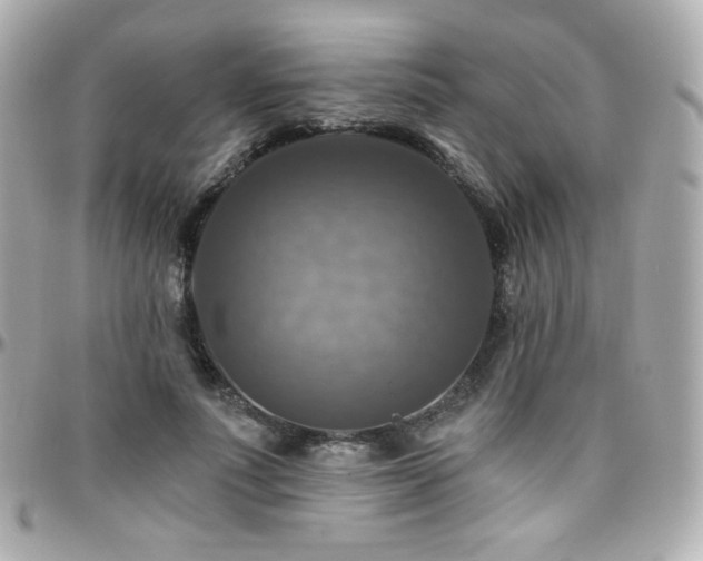 X0000096470691200801241429