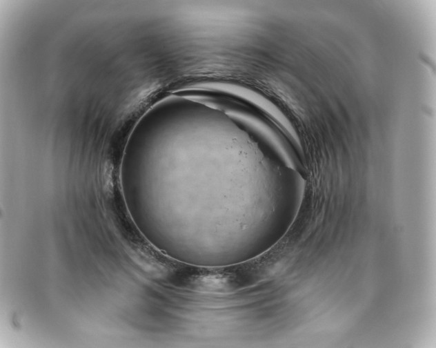 X0000096470692200801241429