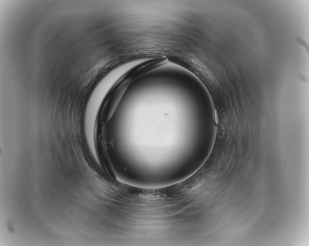 X0000096470693200801241429