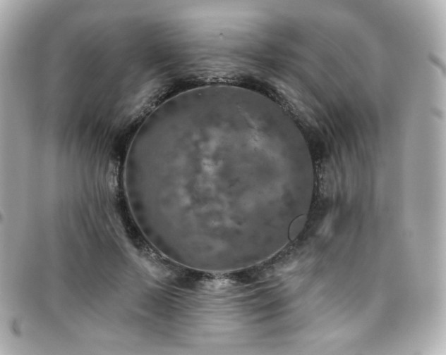 X0000096470695200801241429