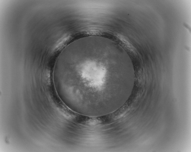 X0000096470696200801241429