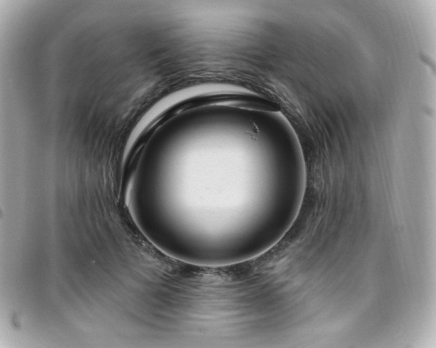 X0000096470697200801241429