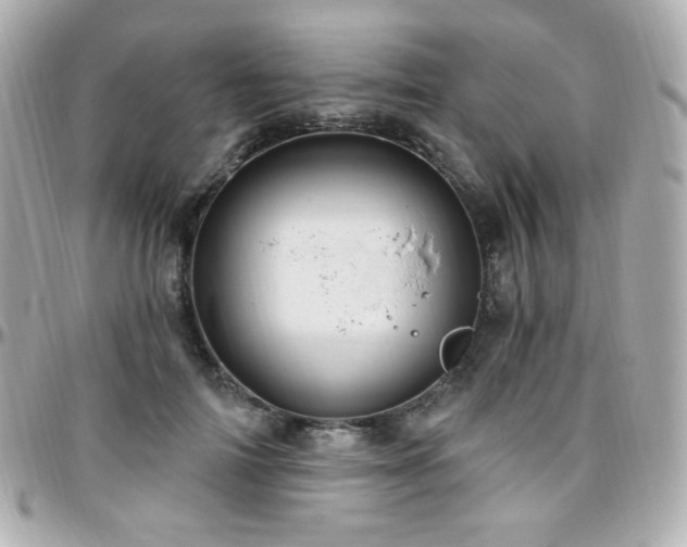 X0000096470698200801241429