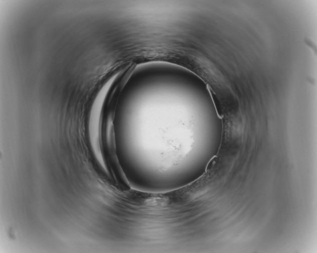 X0000096470700200801241429