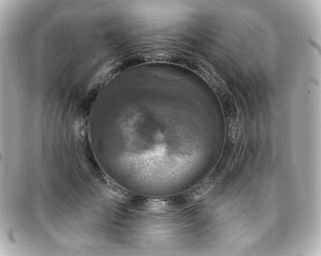 X0000096470701200801241429