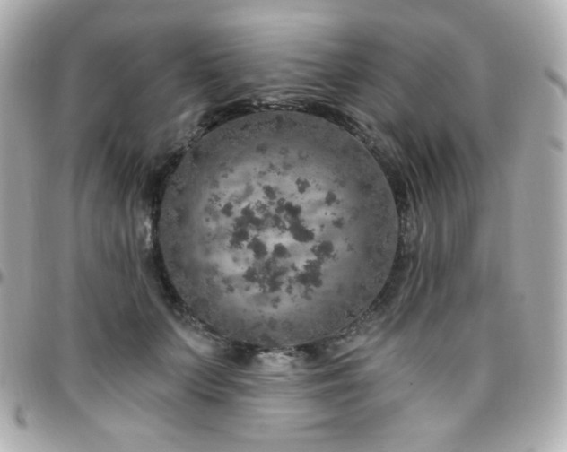 X0000096470703200801241429