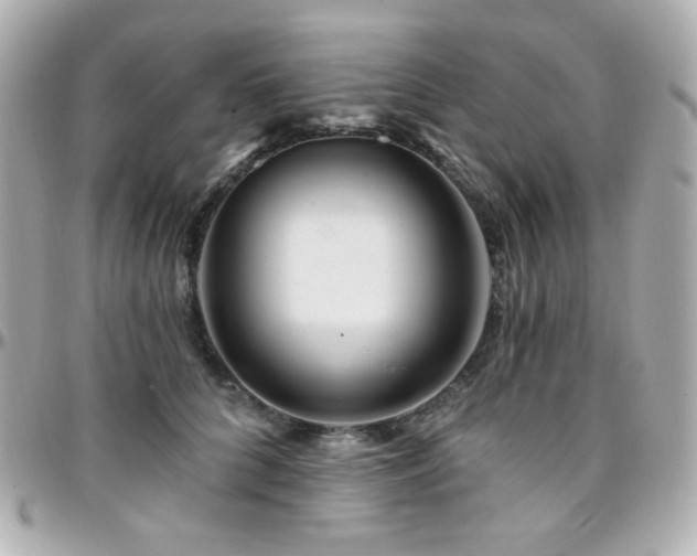 X0000096470704200801241429