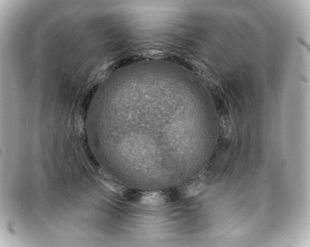 X0000096470705200801241429