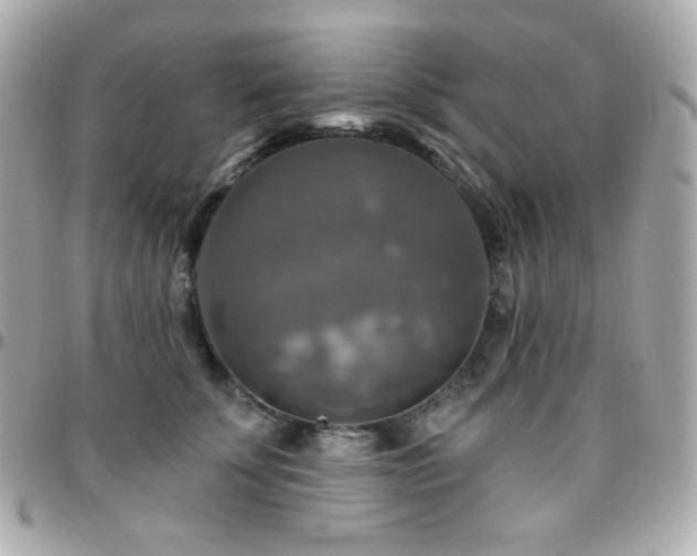 X0000096470707200801241429