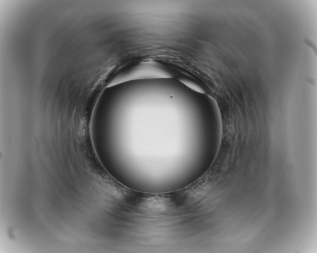 X0000096470708200801241429