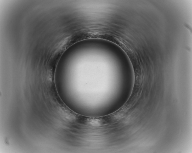 X0000096470710200801241429