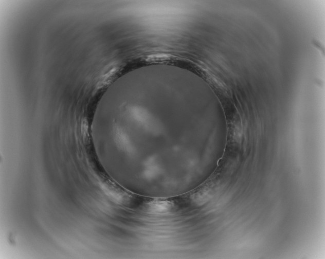 X0000096470711200801241429