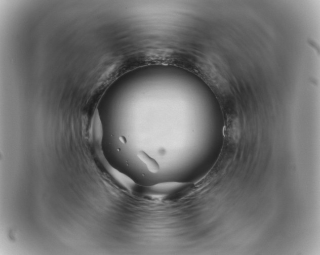 X0000096470712200801241429