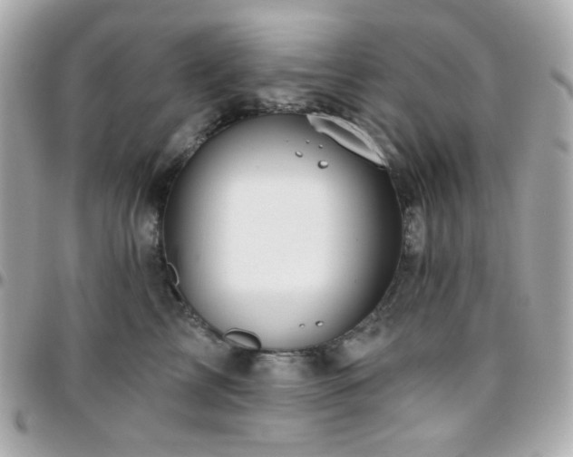 X0000096470713200801241429